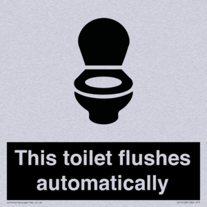 This toilet flushes automatically